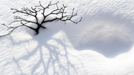 A striking image showcasing a black tree branch casting intricate shadows on a pure white snow surface, creating a minimalist winter scene.の素材