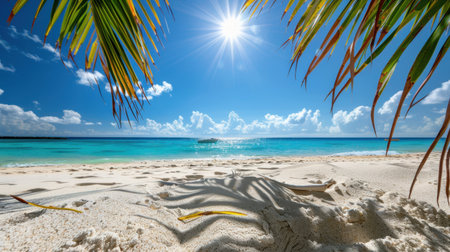 Experience the serenity of a tranquil beach scene featuring golden sand, bright sunlight, and vibrant turquoise water, framed by lush palm leaves.の素材