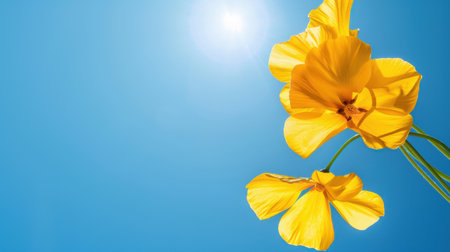 This image captures the beauty of bright yellow flowers set against a clear blue sky, illuminated by radiant sunlight, evoking a sense of happiness and tranquility.の素材