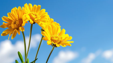 A captivating image of bright yellow flowers standing tall against a clear blue sky, evoking feelings of joy and tranquility in a sunny outdoor setting.の素材