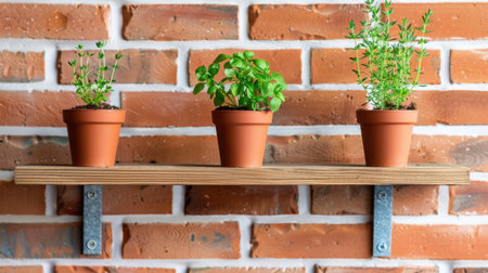 A cozy setup featuring three potted herbs in terracotta pots on a rustic wooden shelf, perfectly blending with the warm tones of a brick wall. Ideal for kitchen decor.の素材