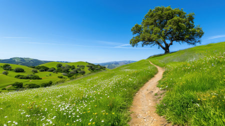 A picturesque landscape featuring a winding pathway through green hills, a lone tree standing tall, and blossoming flowers under a clear blue sky.の素材