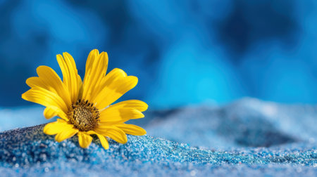 A stunning close-up of a bright yellow flower resting on a soft blue surface, showcasing the beautiful contrast and vibrant colors of nature.の素材