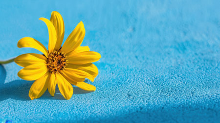 A beautiful close-up of a vibrant yellow flower against a striking blue background. This cheerful image captures the essence of summer with its bright colors and natural beauty. Perfect for a variety of design projects.の素材