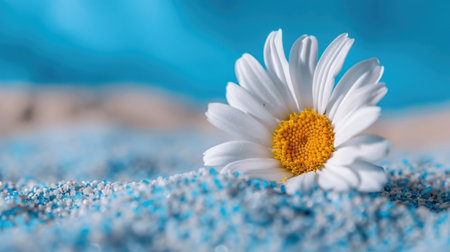 This stunning close-up showcases a delicate white daisy resting on vibrant blue decorative sand, creating a serene and refreshing visual appeal.の素材