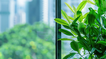 This image features lush green leaves of a potted plant against a backdrop of a modern cityscape. The soft blur of the city gives a serene vibe, perfect for promoting tranquility and connection with nature indoors.の素材