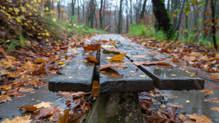 A serene autumn scene featuring a wooden bench coated with raindrops, nestled along a trail adorned with vibrant fallen leaves in a tranquil forest.の素材