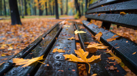 A serene autumn scene featuring a wooden bench adorned with raindrops and vibrant fallen leaves. Captured in a peaceful park setting, it invites relaxation.の素材