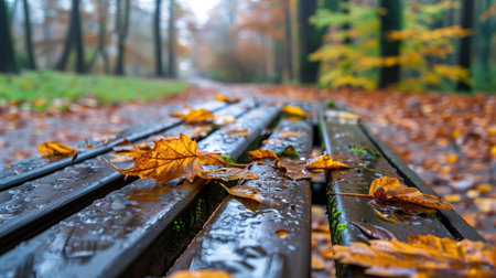 A serene view of an autumn scene featuring rain-soaked wooden benches adorned with colorful leaves, surrounded by a tranquil forest path and fog.の素材