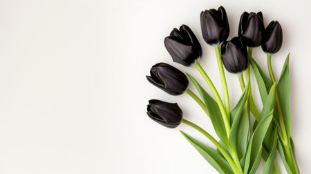A stunning arrangement of black tulips showcases elegant petals and lush green leaves set against a soft neutral background, perfect for floral decor.の素材