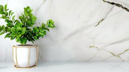 A vibrant green plant in a modern white pot sits elegantly on a smooth surface against a stunning marble background, enhancing interior spaces.の素材