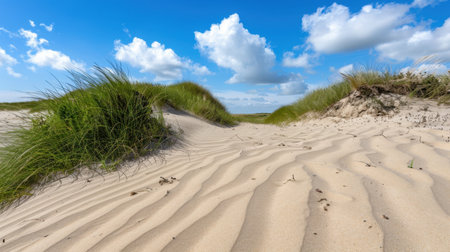 A picturesque scene showcasing sandy dunes bordered by lush green grass, set against a vibrant blue sky with fluffy clouds, capturing nature's beauty.の素材