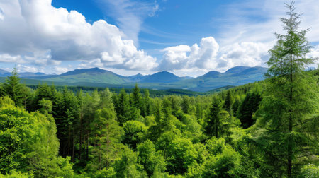 A breathtaking view of a lush green forest landscape, dominated by tall trees and majestic mountains under a bright blue sky filled with fluffy clouds.の素材