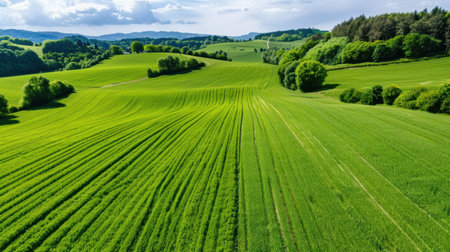 Experience the beauty of a tranquil countryside with lush green rolling hills stretching into the horizon under a blue sky filled with fluffy clouds.の素材