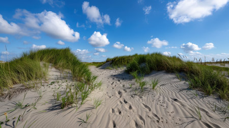 Explore a serene sandy pathway winding through vibrant green dunes under a brilliant blue sky dotted with fluffy white clouds, perfect for outdoor adventures.の素材