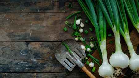 This image features fresh green onions arranged on a rustic wooden table beside a gardening tool, ideal for culinary and agricultural themes.の素材
