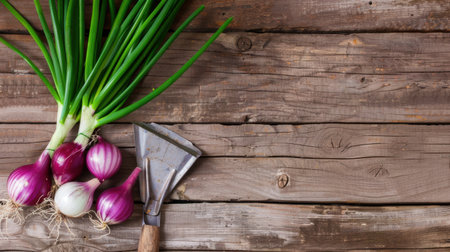 Fresh green onions and vibrant red shallots rest on a rustic wooden table, complemented by a garden tool, ideal for culinary enthusiasts and healthy cooking.の素材