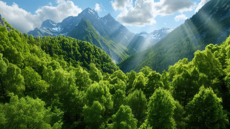 A breathtaking view of a vibrant mountain landscape where sunlight streams through soft clouds, illuminating a lush forest filled with rich greenery.の素材