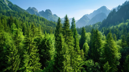 A breathtaking view of a vibrant green forest surrounded by majestic mountains under a clear blue sky, showcasing the beauty of nature and tranquility.の素材