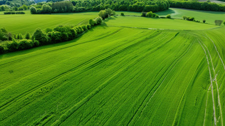Aerial view of vibrant green fields showcasing lush grass and beautiful countryside under a clear blue sky. Perfect for nature and landscape projects.の素材