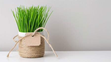 A charming pot filled with fresh green grass sits on a minimalist table, showcasing rustic twine and a blank tag, perfect for decor ideas.の素材