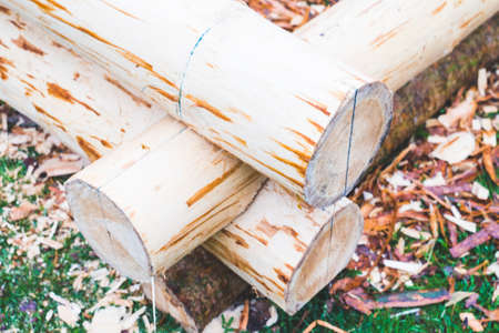 make a log wooden house,