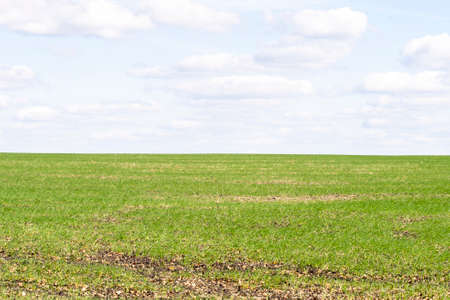 green field and blue sky with clouds. High quality photo