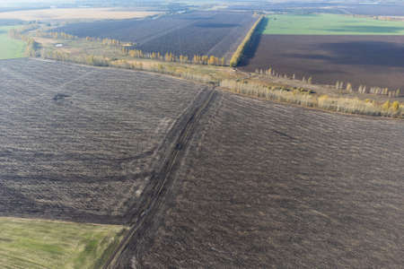 agricultural fields plowed view from a height, drones point of view over plowed green farmland with...