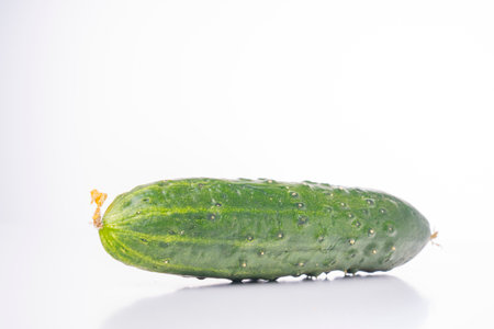 fresh green cucumber with pimples on a white background, the concept of healthy food and non-gmo products, selective focusing, macro photos from different angles, reflection on whiteの写真素材