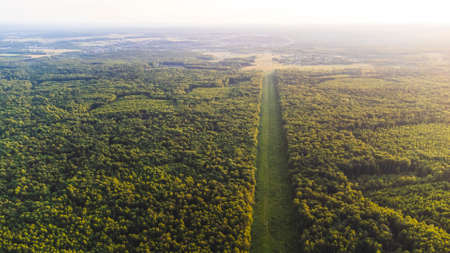view into the distance from the height of the forestの写真素材