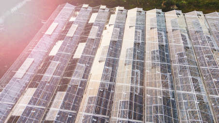 modern greenhouse complex from a heightの写真素材