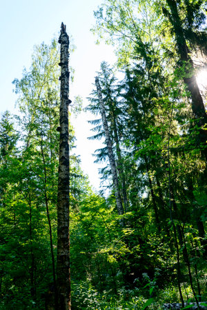 memorial complex at the site of the death of Yuri Alekseevich Gagarinのeditorial素材