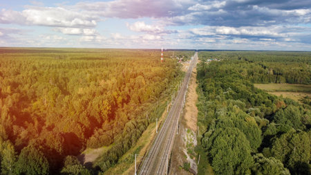 Road in a coniferous forest view from a height