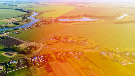 view from a height to the green fields of crops