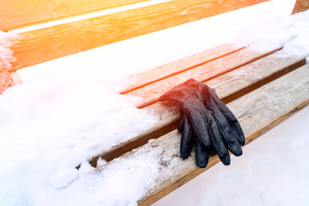 leather womens gloves forgotten on a bench in theの写真素材
