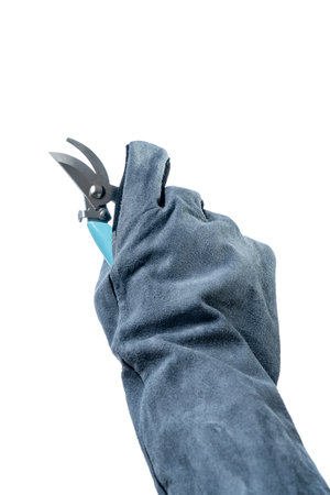 Heat-resistant gloves, protective thick gloves forの写真素材