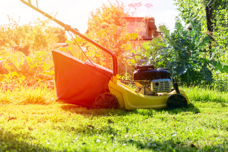 yellow lawn mower mows the lawn.の写真素材