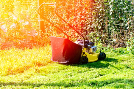 yellow lawn mower mows the lawn.の写真素材