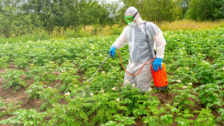 Worker in protective suit treating plants with pesticides, modern agriculture and chemical fertilizers.の写真素材