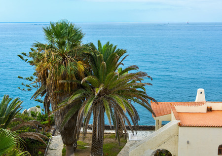 On the Atlantic coast of Tenerife island there is a house on the territory of palm treesの写真素材