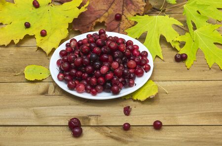 On a wooden surface lie autumn leaves, and is white plate with cranberries.の写真素材