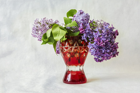 Lilac flowers in a red vase on a gray backgroundの写真素材