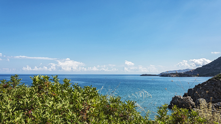 Sea coast and sea horizon with clouds behind green bushesの写真素材