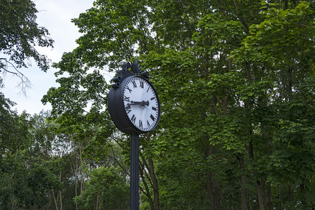 The dial of a large clock in a city park against a background of green trees