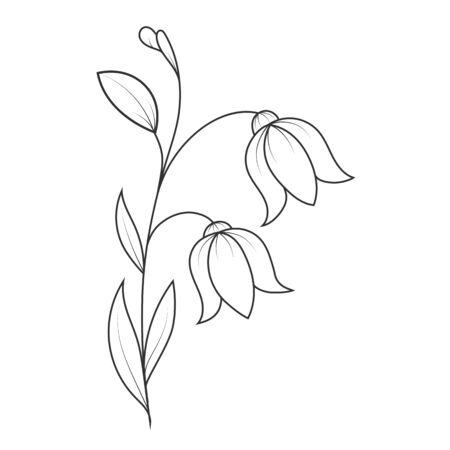 Empty outline of a flower with petals. A Doodle-style outline is isolated on a white background. Flat design for coloring books, postcards and decoration. のイラスト素材