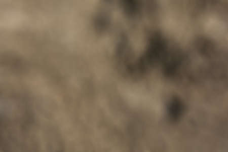 Brown background. Stock illustration for backgrounds, scenery, and creative design with blur and bokeh elementsの写真素材