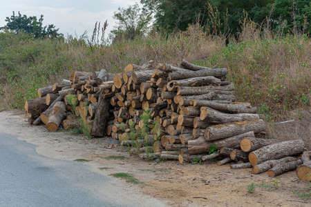 A woodpile is stacked near the road. Stock photo.の写真素材