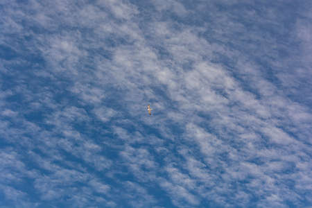 Cirrus clouds in a blue sky and a flying gull. Stock photo for creative design and backgrounds.の写真素材