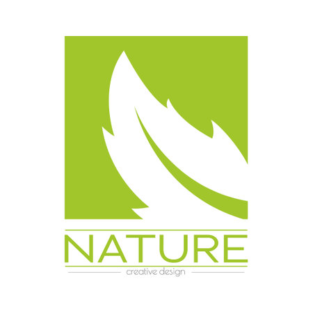 Nature. A green leaf in a square. Template for a logo, sticker, emblem or label. Icon for websites and applications. flat styleのイラスト素材