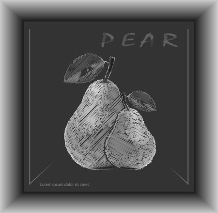 Pear. Monochrome image for interior design, poster, poster, cover, print and creative ideaのイラスト素材